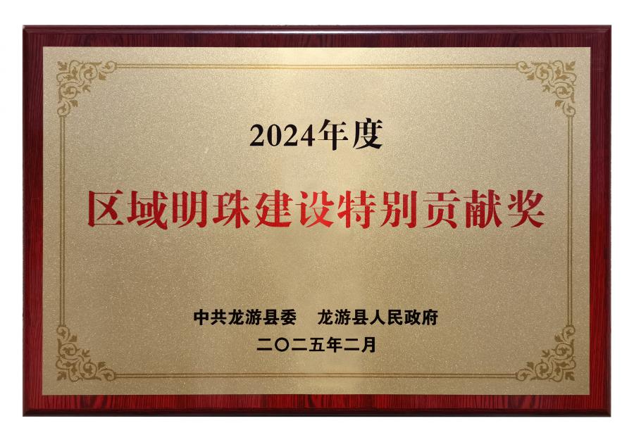 2024區(qū)域明珠建設(shè)特別貢獻(xiàn)獎(jiǎng).jpg
